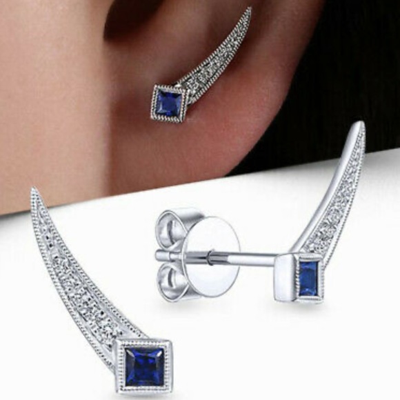 Jewelry - New Sterling silver blue stone earrings